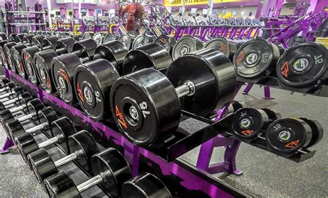 are the planet fitness weights fake